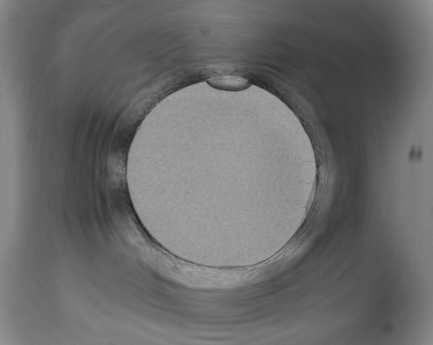 X0000113950048200911061313