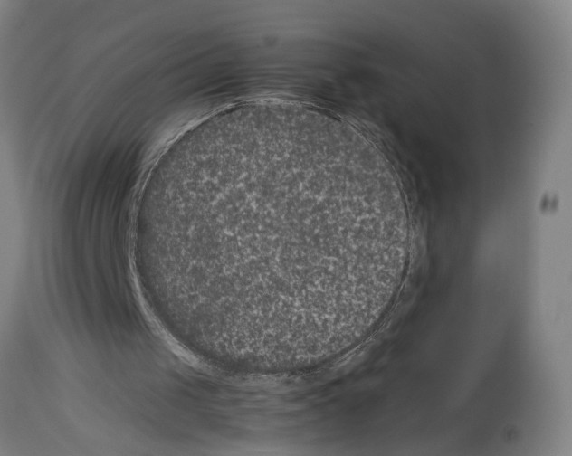 X0000113950049200911061312