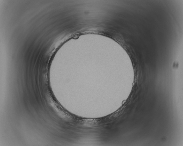 X0000113950050200911061312