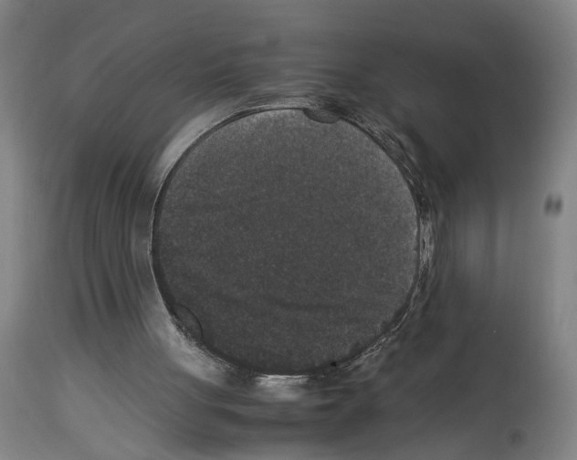 X0000113950051200911061312