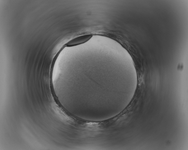 X0000113950052200911061312