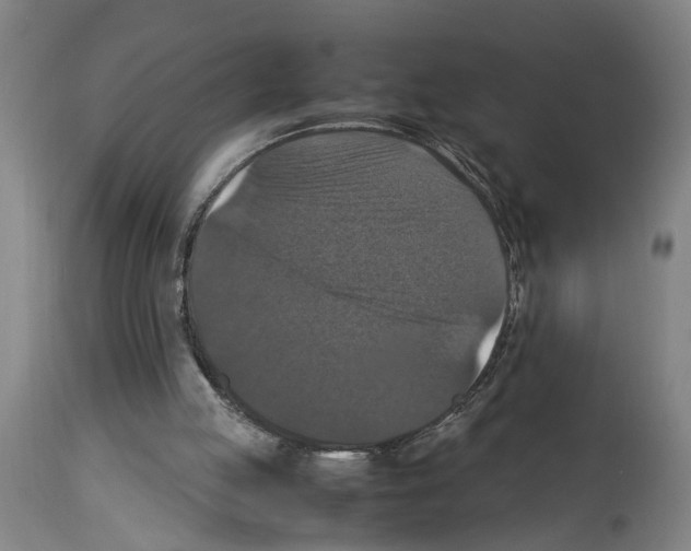 X0000113950053200911061313