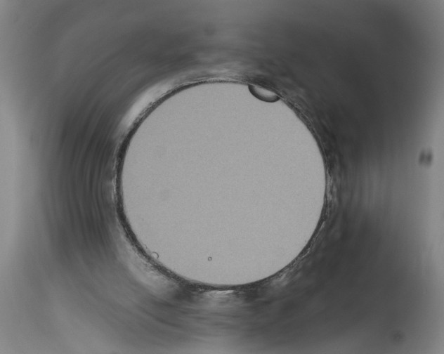 X0000113950054200911061313