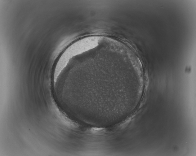 X0000113950055200911061313