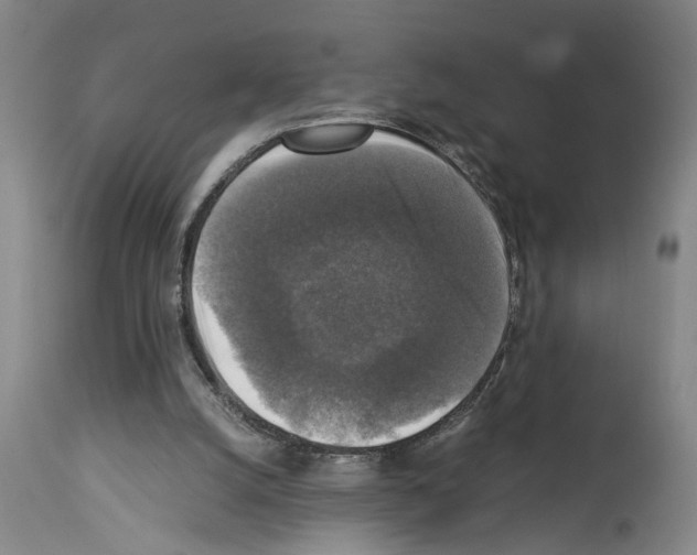 X0000113950056200911061313