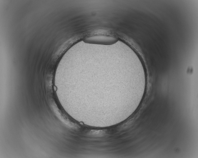 X0000113950057200911061313