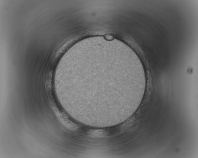 X0000113950058200911061313