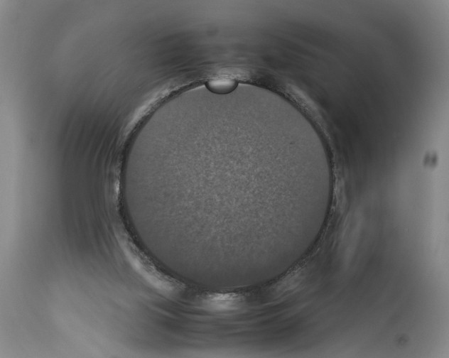 X0000113950059200911061313