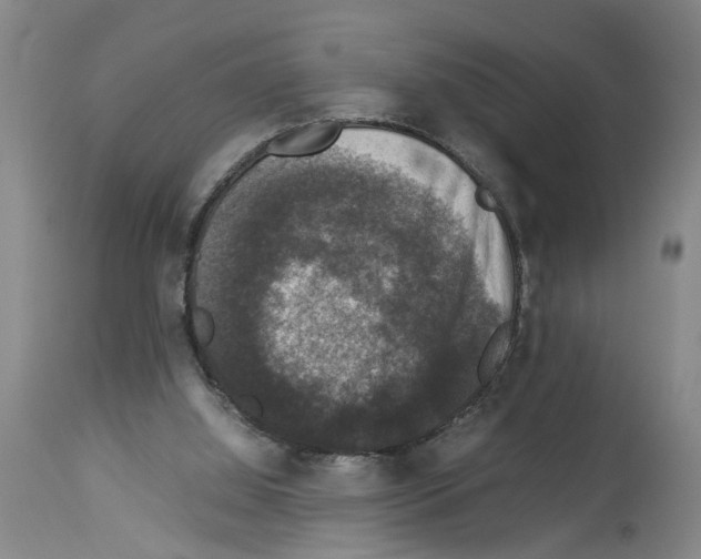 X0000113950060200911061313