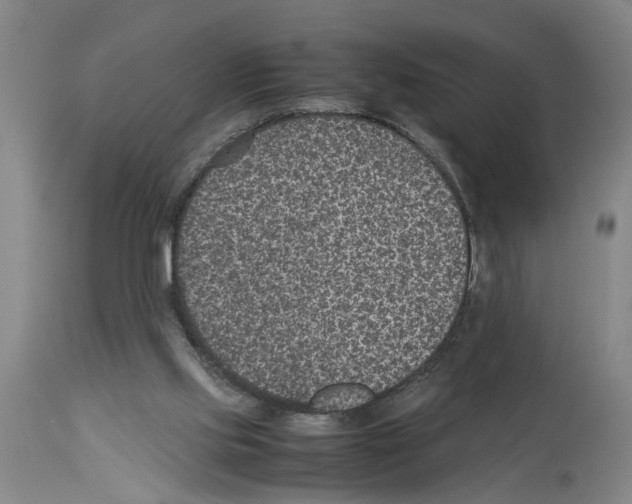 X0000113950061200911061313