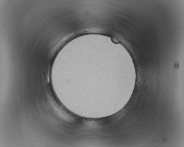 X0000113950062200911061313