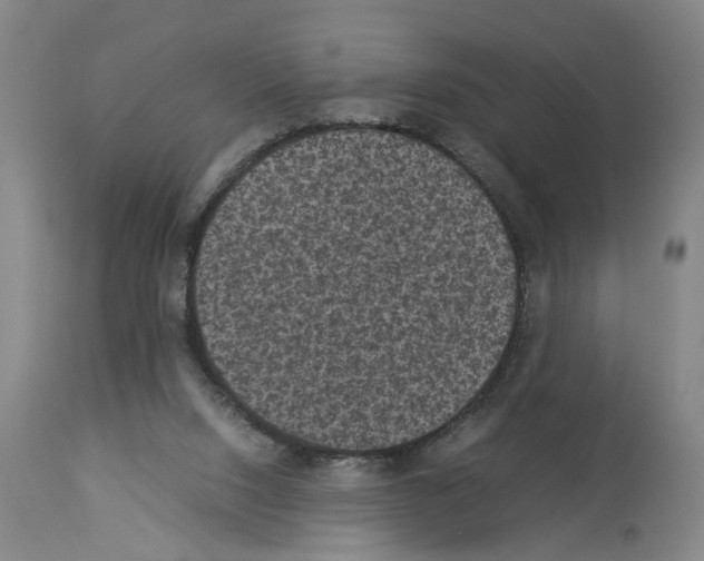 X0000113950064200911061313