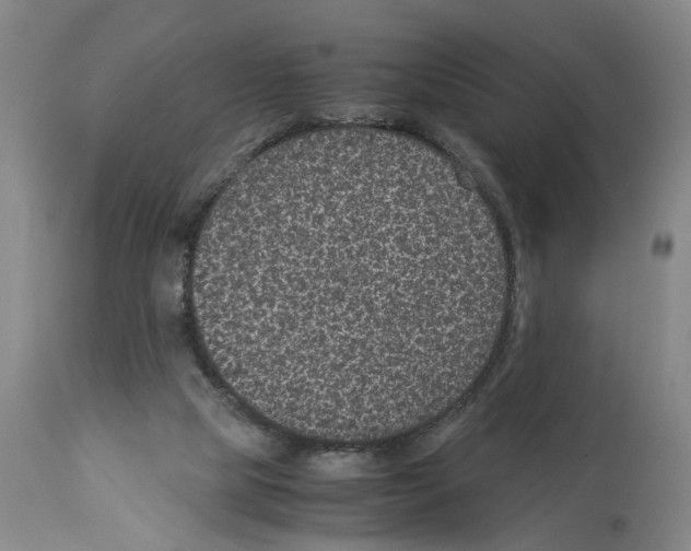 X0000113950065200911061313