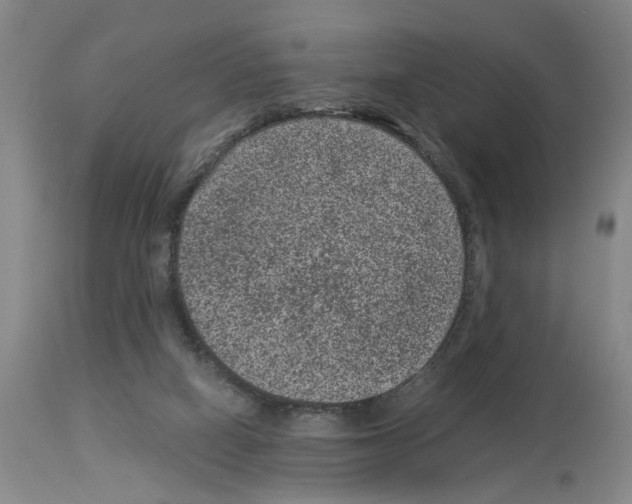 X0000113950066200911061313