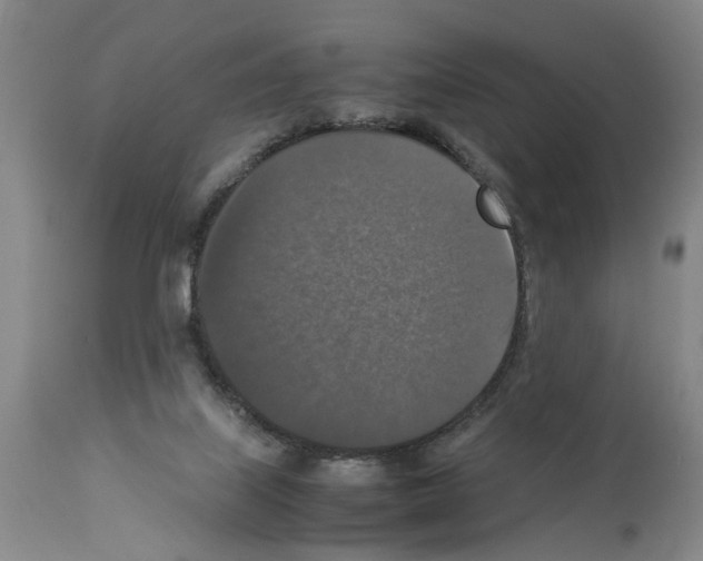 X0000113950067200911061313