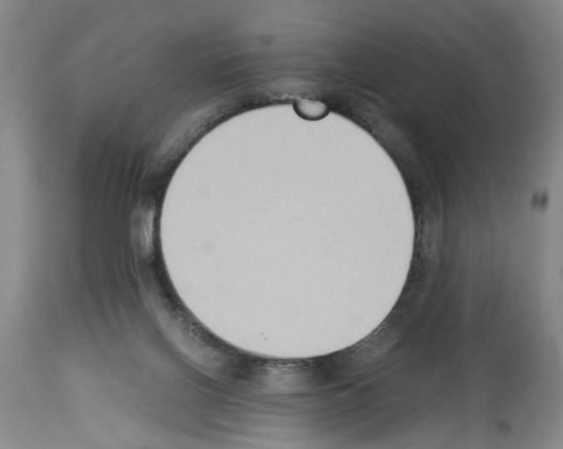 X0000113950070200911061313