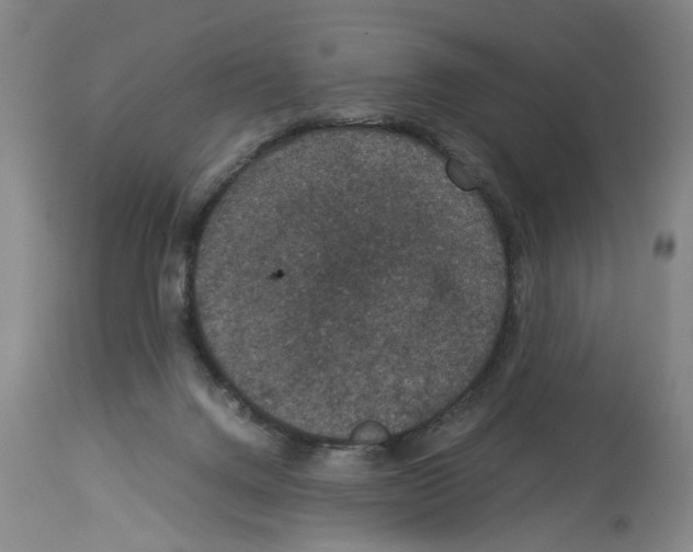 X0000113950072200911061313