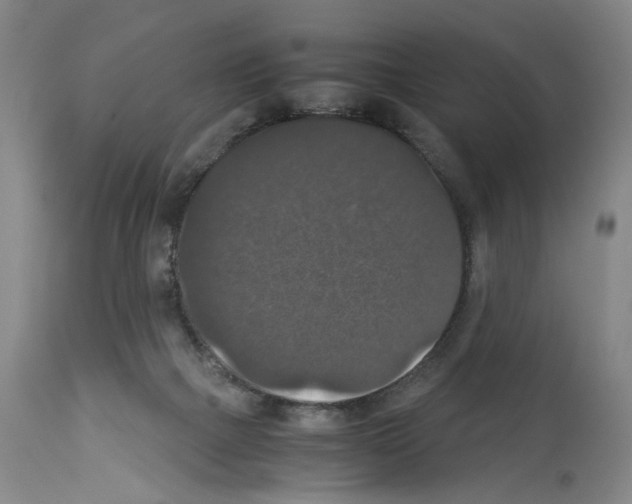 X0000113950073200911061313