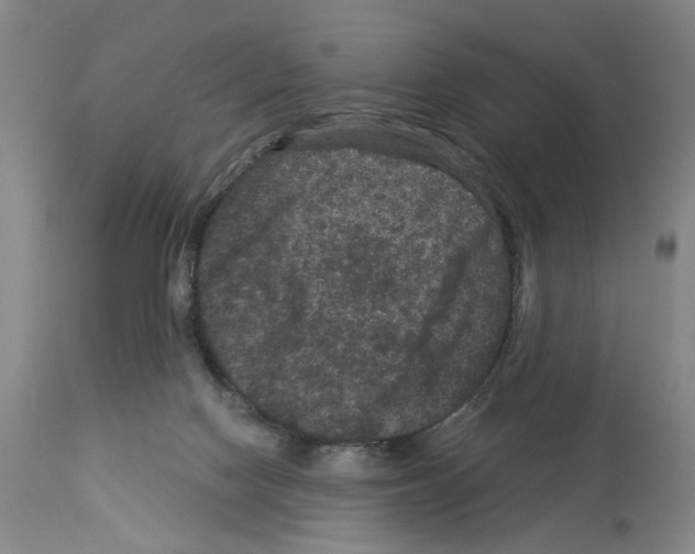 X0000113950074200911061313