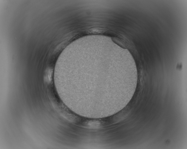 X0000113950075200911061313