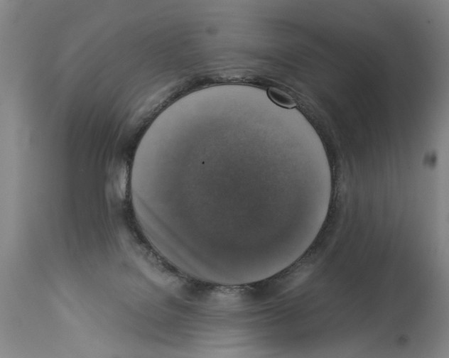 X0000113950076200911061313