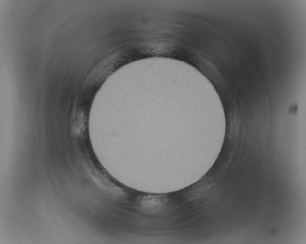 X0000113950077200911061313