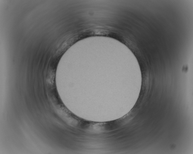 X0000113950078200911061313
