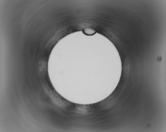 X0000113950079200911061313