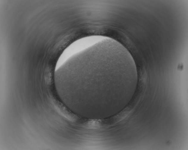 X0000113950080200911061313