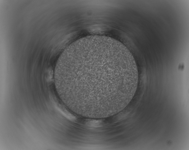 X0000113950081200911061313