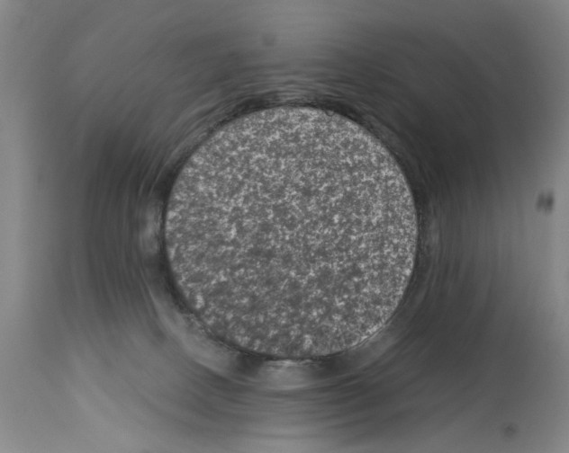 X0000113950082200911061313
