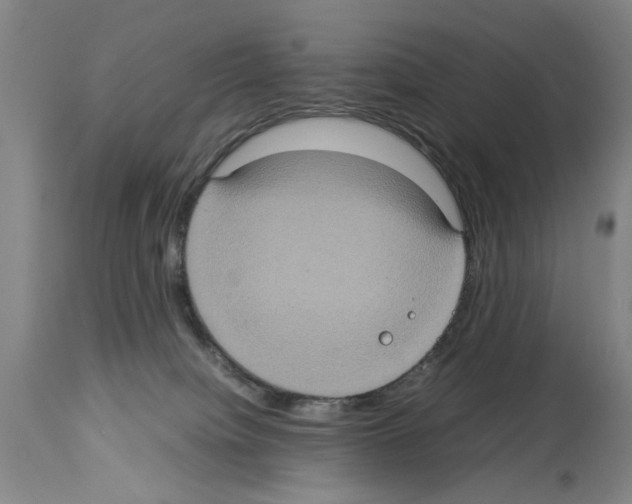 X0000113950084200911061313