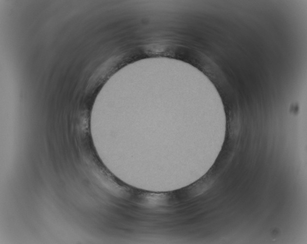 X0000113950085200911061313