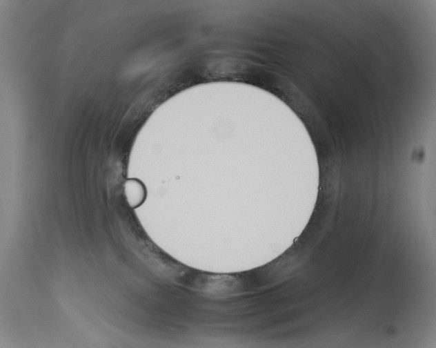 X0000113950087200911061313