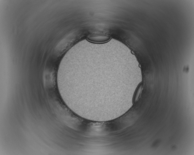 X0000113950088200911061313