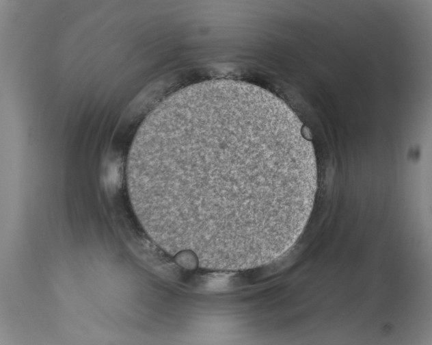 X0000113950090200911061313