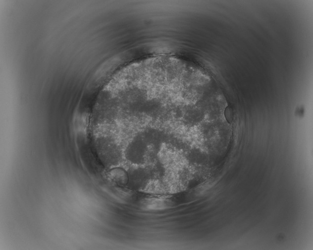 X0000113950093200911061313
