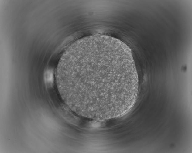 X0000113950094200911061313