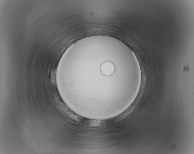 X0000113950096200911061313