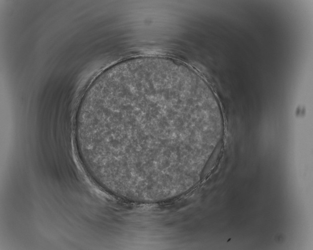 X0000113950097200911061312