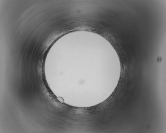 X0000113950098200911061312