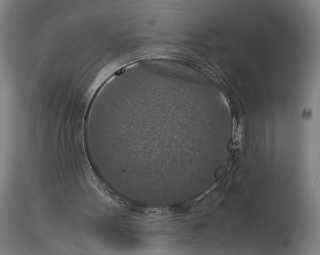 X0000113950099200911061312