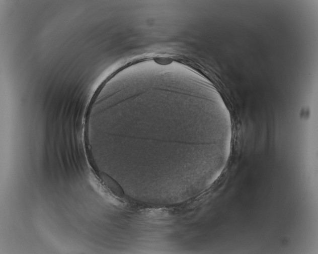 X0000113950100200911061312