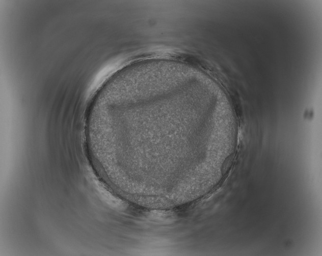 X0000113950101200911061312