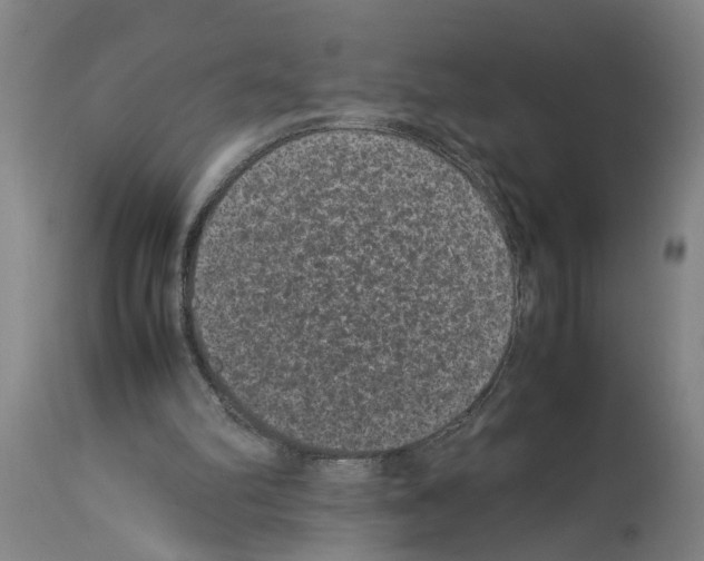 X0000113950102200911061312