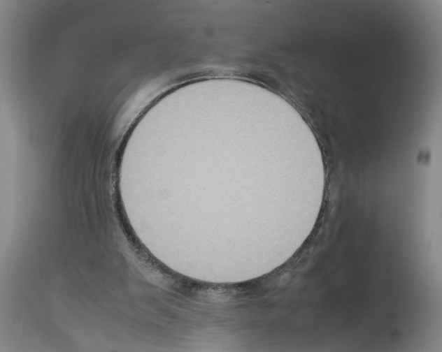 X0000113950103200911061312