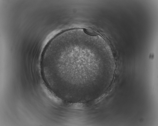 X0000113950104200911061312