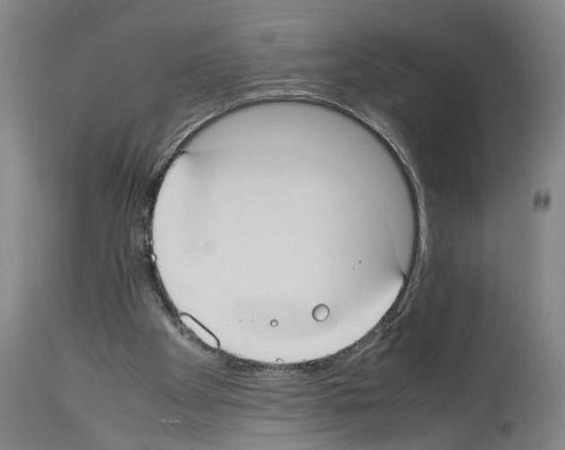 X0000113950105200911061312