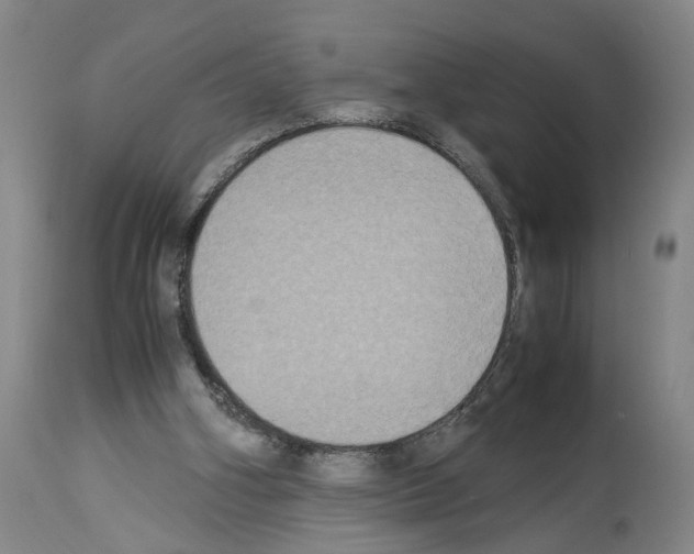 X0000113950106200911061312