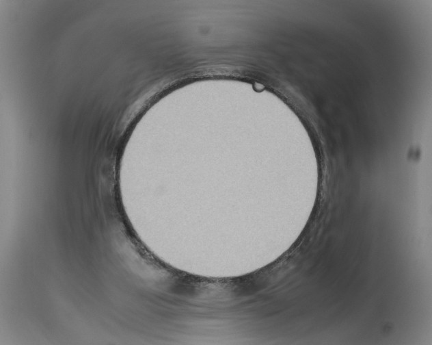 X0000113950107200911061312